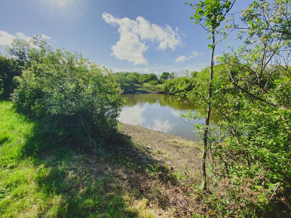 Timber Hill Self Catering Cedar Lodges Broad Haven Zewnętrze zdjęcie