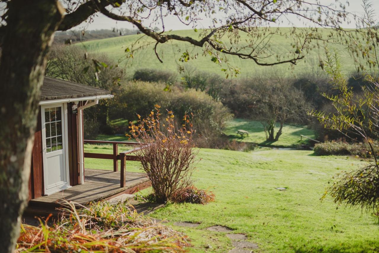 Timber Hill Self Catering Cedar Lodges Broad Haven Zewnętrze zdjęcie