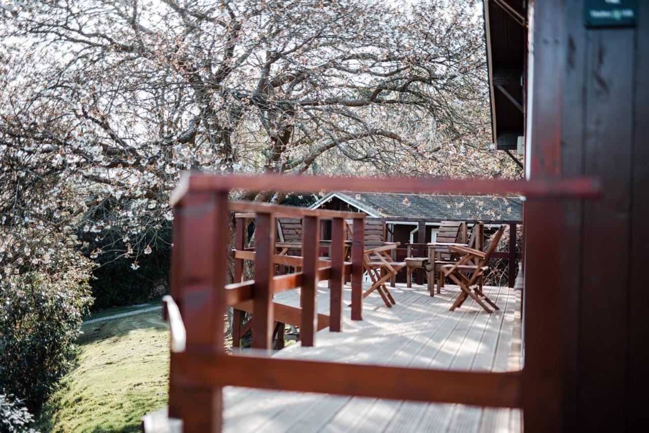 Timber Hill Self Catering Cedar Lodges Broad Haven Zewnętrze zdjęcie