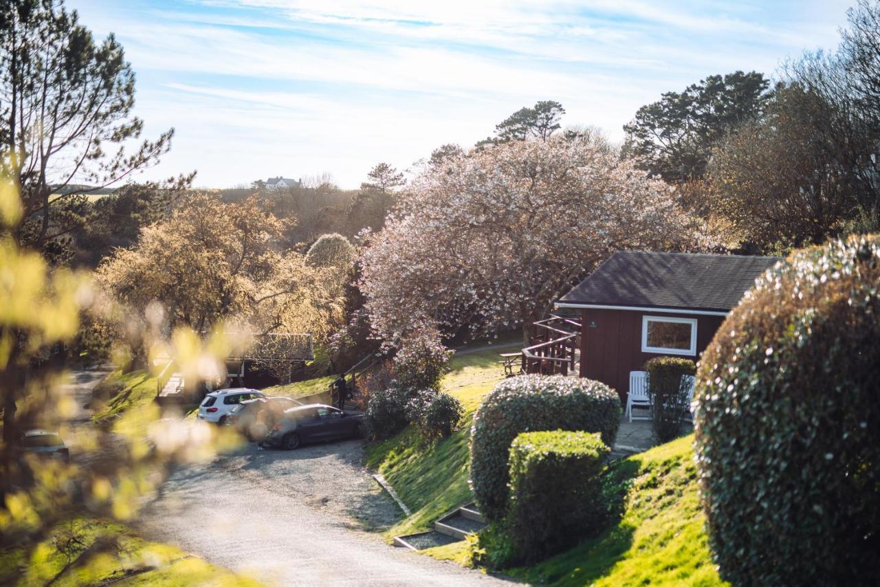 Timber Hill Self Catering Cedar Lodges Broad Haven Zewnętrze zdjęcie