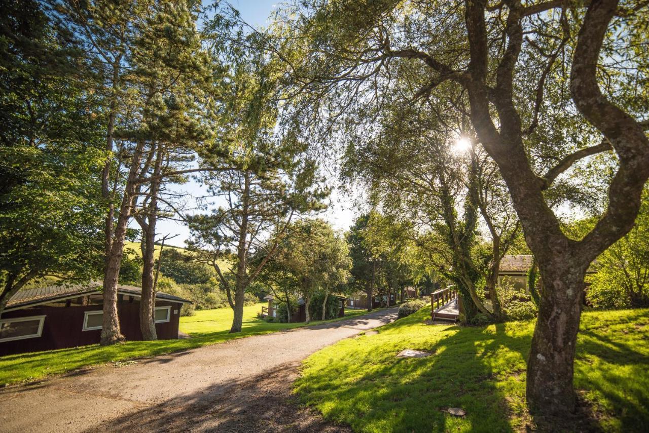 Timber Hill Self Catering Cedar Lodges Broad Haven Zewnętrze zdjęcie