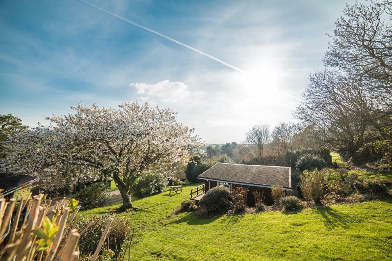 Timber Hill Self Catering Cedar Lodges Broad Haven Zewnętrze zdjęcie