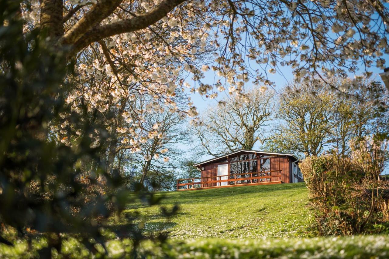 Timber Hill Self Catering Cedar Lodges Broad Haven Zewnętrze zdjęcie
